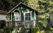 Woodland Villa Cabin 11 in the Northern California Redwoods