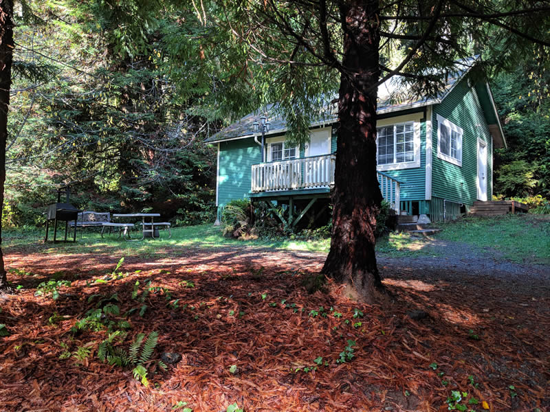 Cabin 19