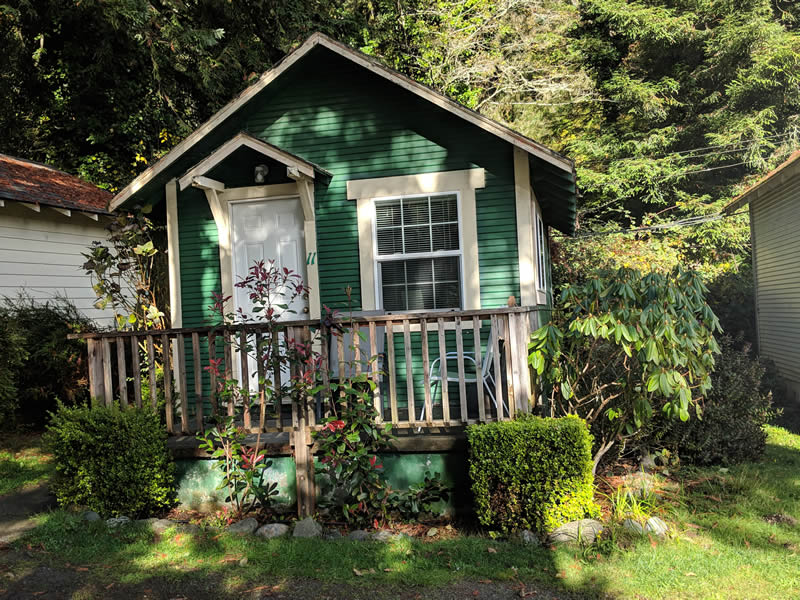 Cabin 11