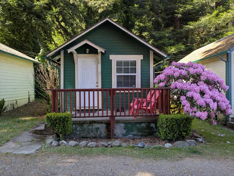Cabin 11