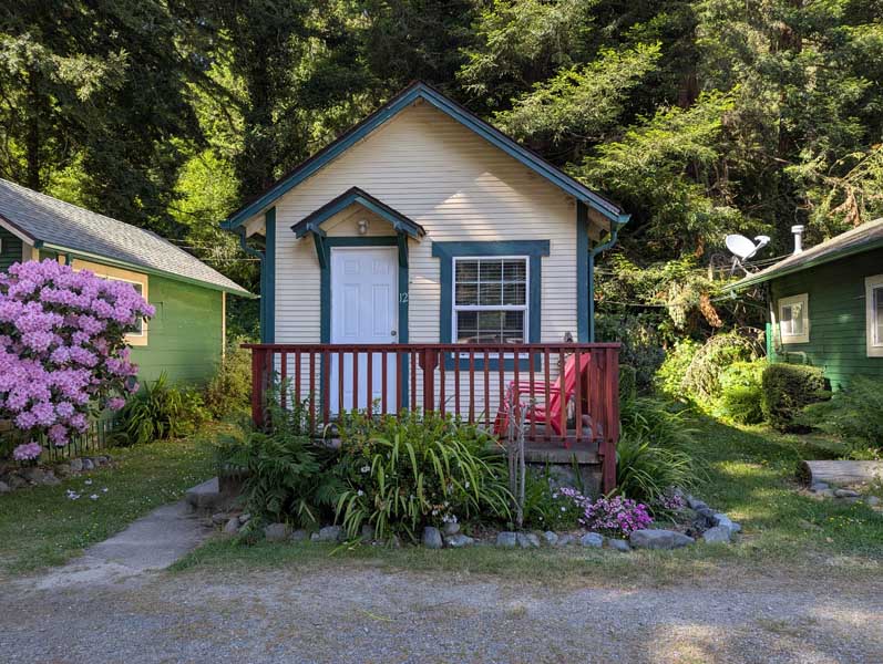 Cabin 12