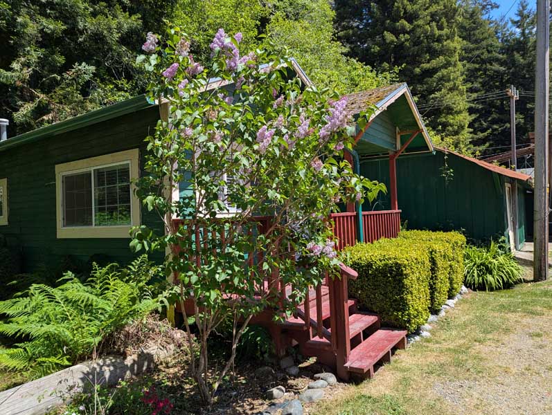 Cabin 14