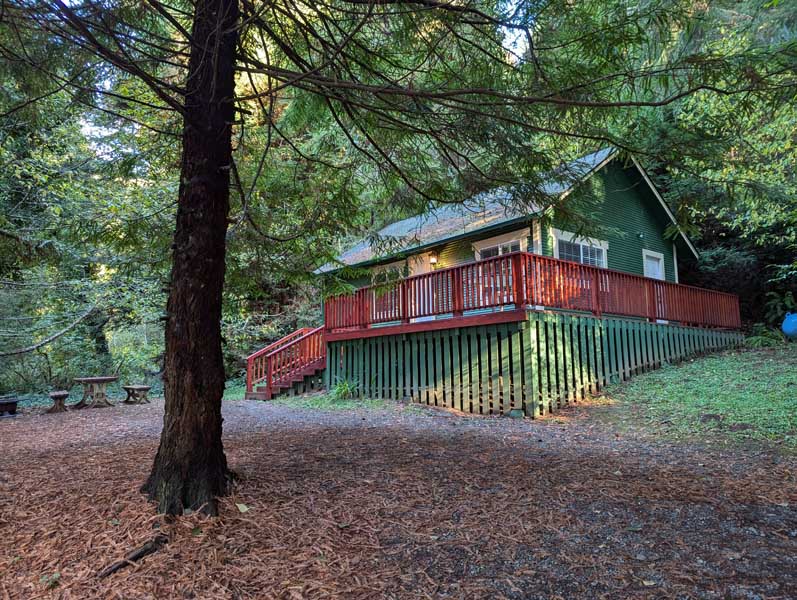 Cabin 19